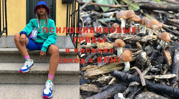 гидропоника Абдулино