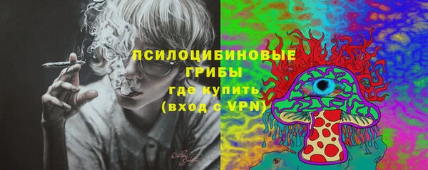 бошки Абинск